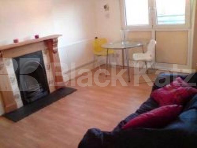 			LET!, 1 Bedroom, 1 bath, 1 reception Flat			 Edgecot Grove, SEVEN SISTERS